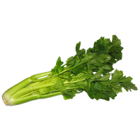 Celery Pic Green Free PNG HQ PNG Image