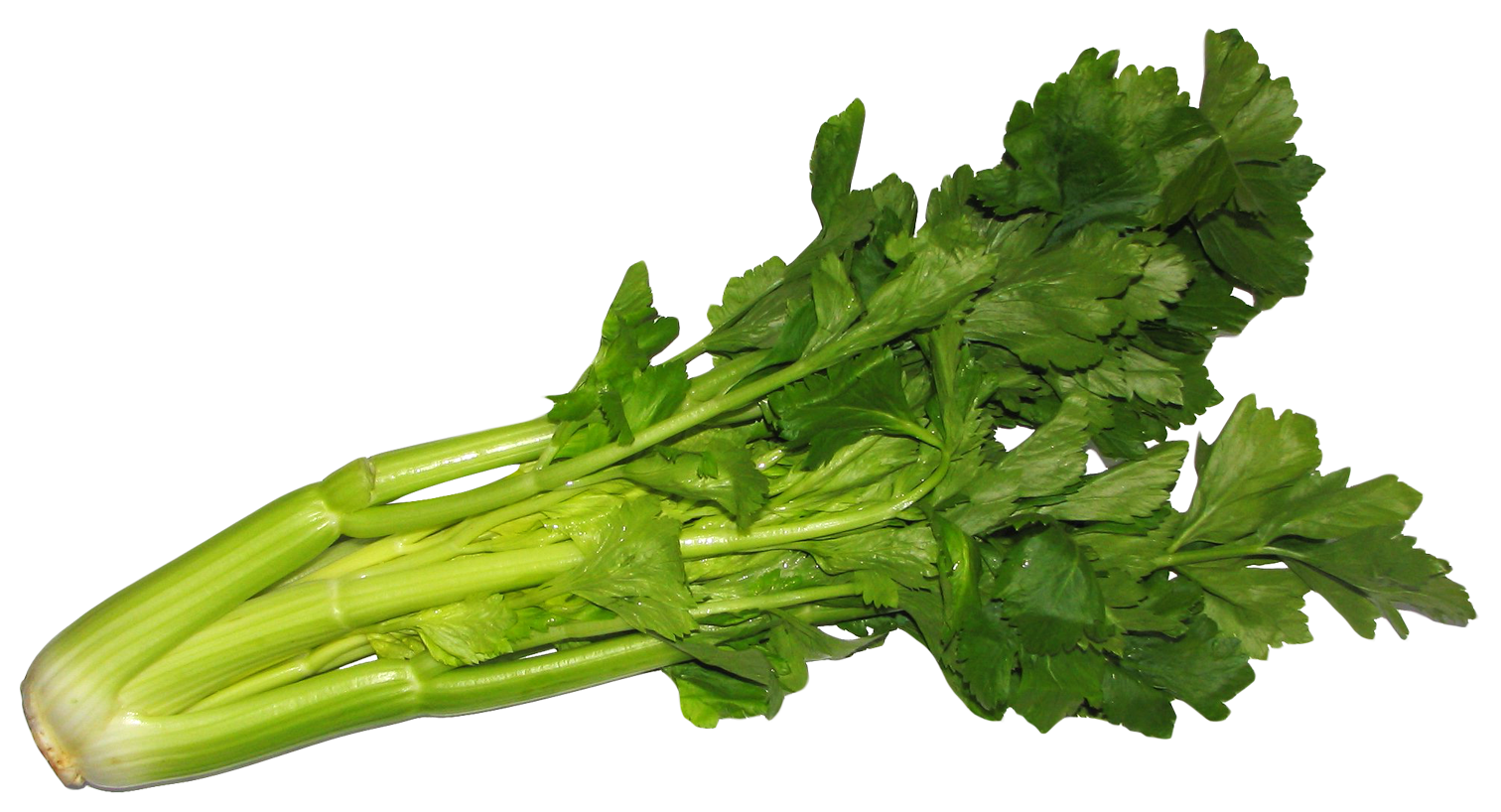 Celery Pic Green Free PNG HQ PNG Image