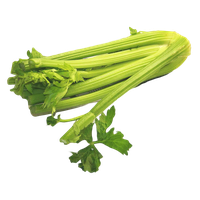 Celery Green Free Transparent Image HQ PNG Image