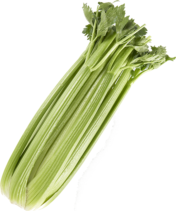 Celery Green Organic Free Download PNG HQ PNG Image