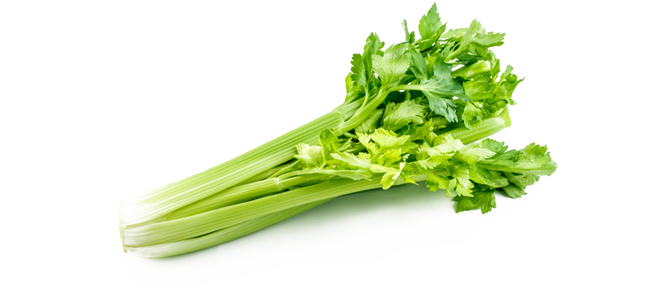 Celery Green Organic Free Download Image PNG Image