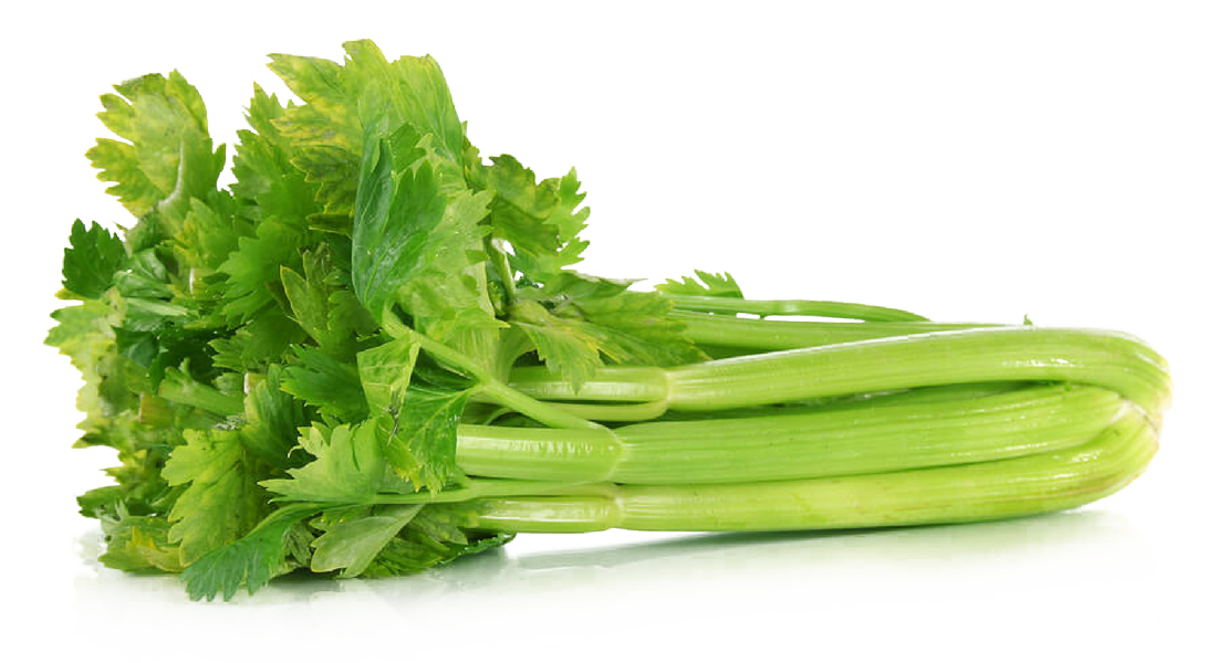 Celery Green Organic Free Photo PNG Image
