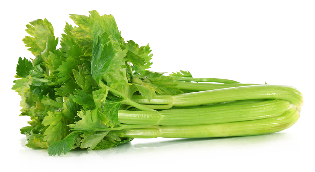 Celery Green Organic Free Photo Transparent PNG Image