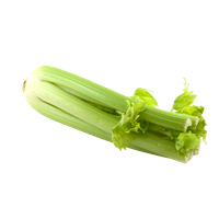 Celery Sticks Bunch Free Download PNG HQ PNG Image