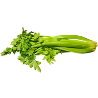 Celery Sticks Bunch Download HQ PNG Image