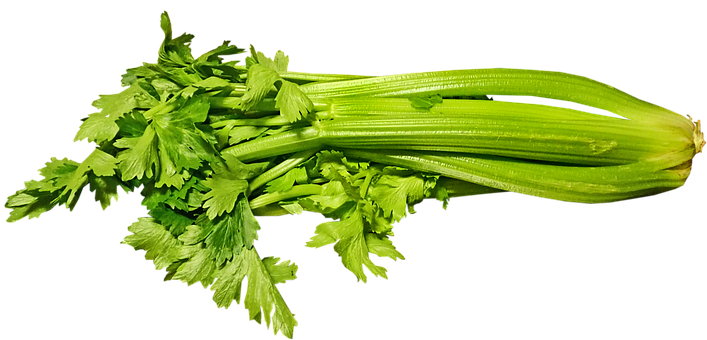 Celery Sticks Bunch Download HQ PNG Image