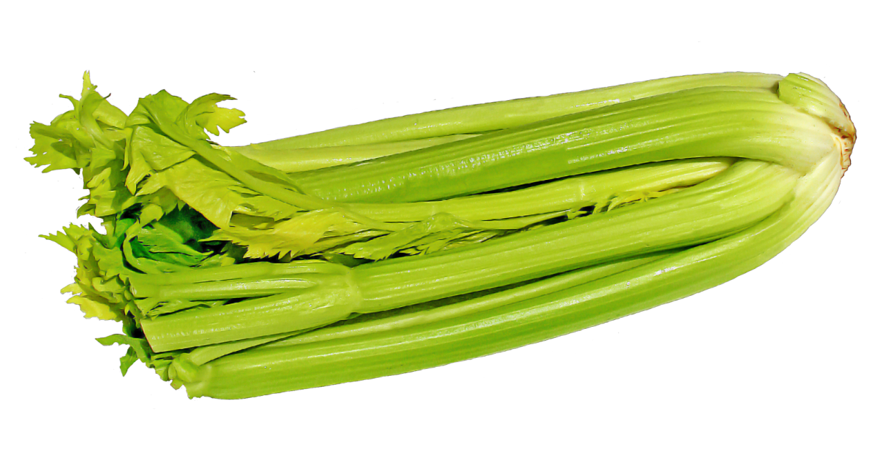Celery Sticks Bunch Free Clipart HQ PNG Image
