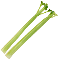 Celery Fresh Sticks Photos Free Photo PNG Image