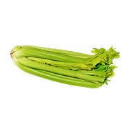 Celery Fresh Sticks PNG Download Free PNG Image