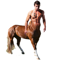 Centaur PNG