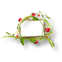 Flower Design Auglis Cereal Floral Ear Transparent PNG Image