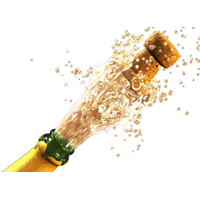 Download Champagne Free PNG photo images and clipart | FreePNGImg