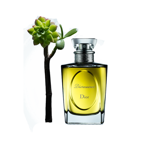 Oil Christian Chanel Designer Dior Perfume Essential PNG Image