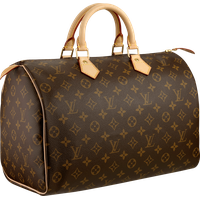 Download Vuitton Monogram Fashion Louis Rock Handbag Pattern HQ PNG Image