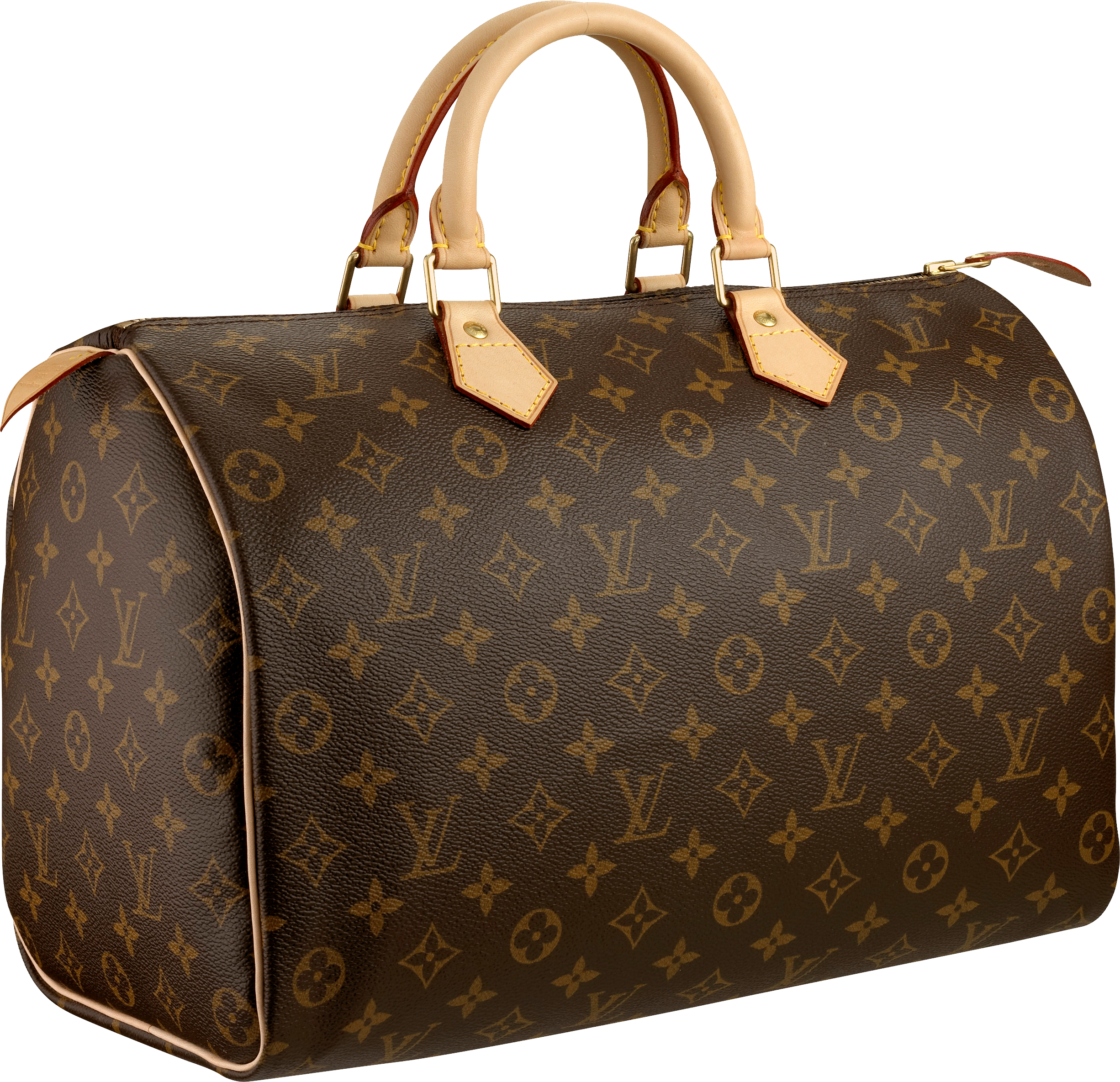 Vuitton Goods Louis Bag Fashion Luxury Handbag PNG Image