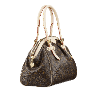 Vuitton Leather Louis Bag Handbag Chanel Women PNG Image