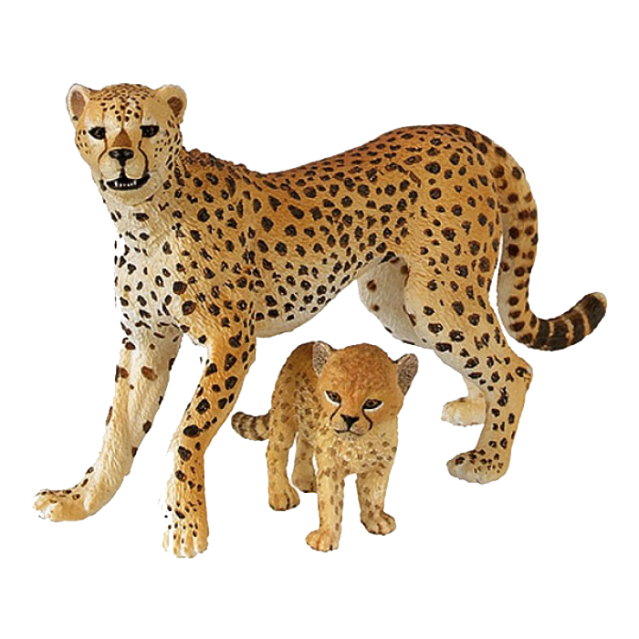 Cheetah Free Download PNG Image