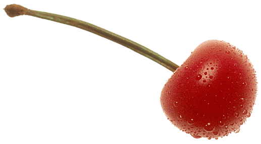Cherry Fruit Transparent Background PNG Image