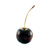 Black Cherry File Transparent PNG Image