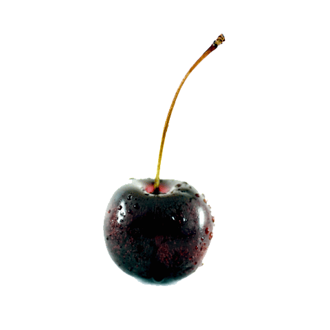 Black Cherry File PNG Image