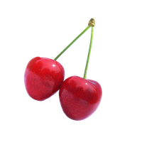 Cherry Fruit PNG