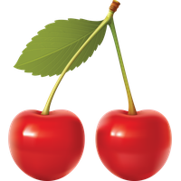 Cherry Vector File PNG