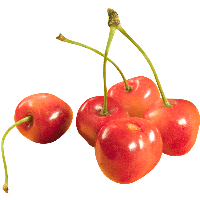 Download Cherries Png Image Hq Png Image Freepngimg