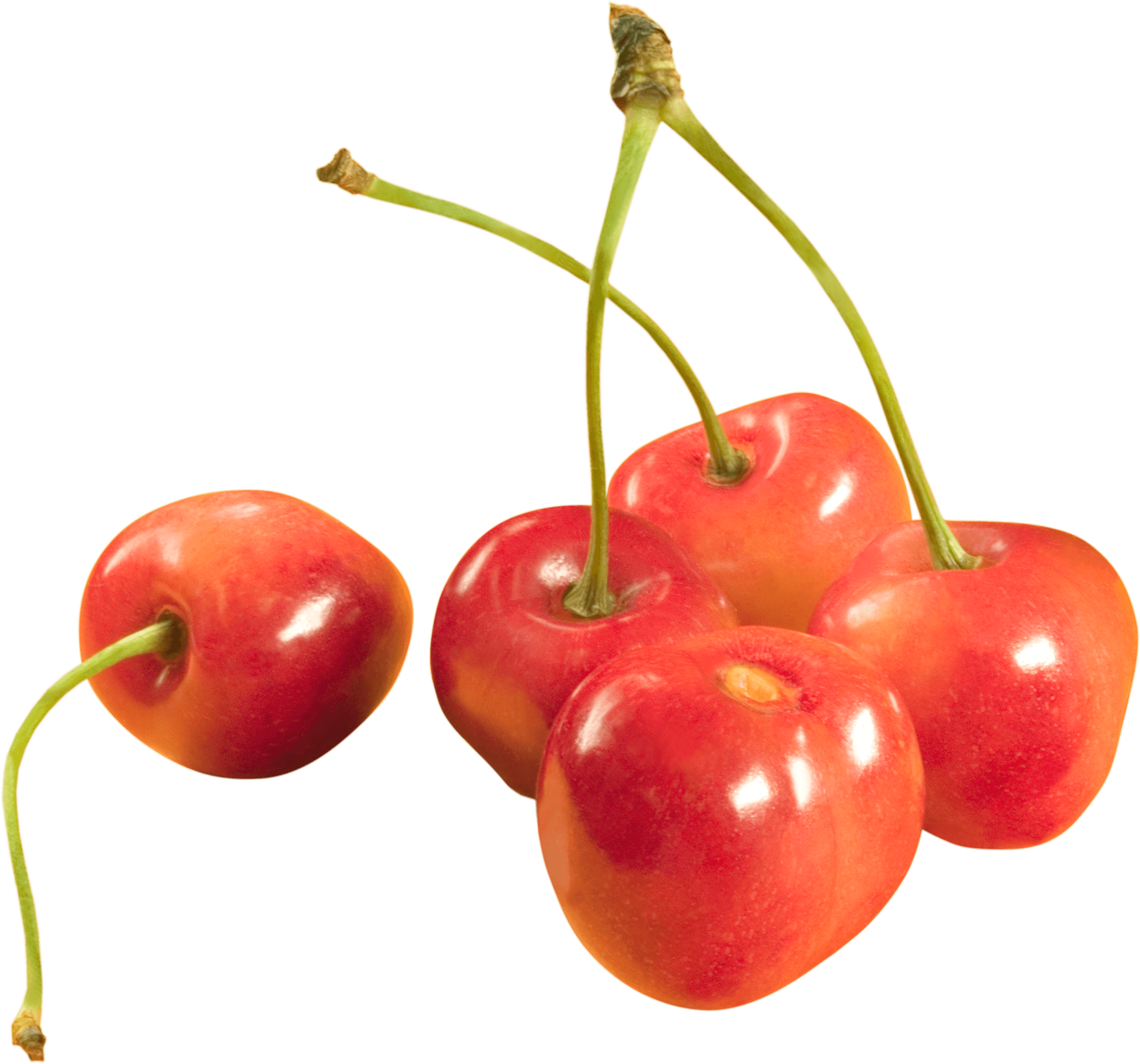 Cherries Png Image PNG Image