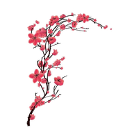 Blossom Cherry Peach Red Tattoo Free Transparent Image HQ