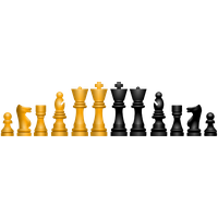 Download Chess Free PNG photo images and clipart | FreePNGimg