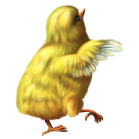 Chicken Png 12 PNG Image