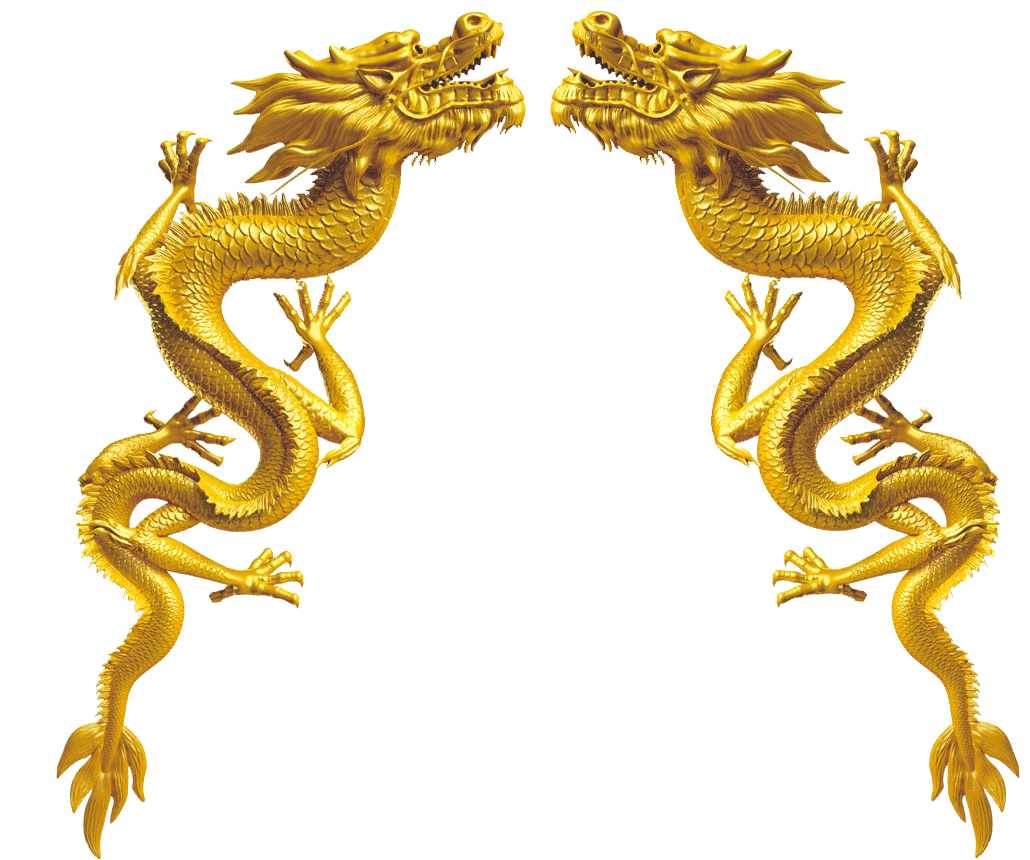 Chinese Golden Dragon