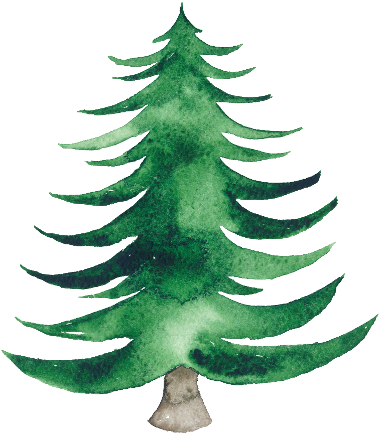 Watercolor Tree Christmas Free Transparent Image HD PNG Image