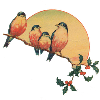 Picture Christmas Bird PNG Download Free PNG