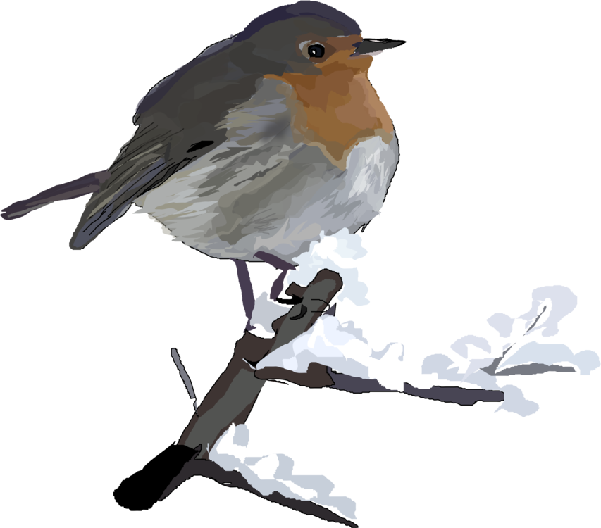 Christmas Bird Free Clipart HQ PNG Image
