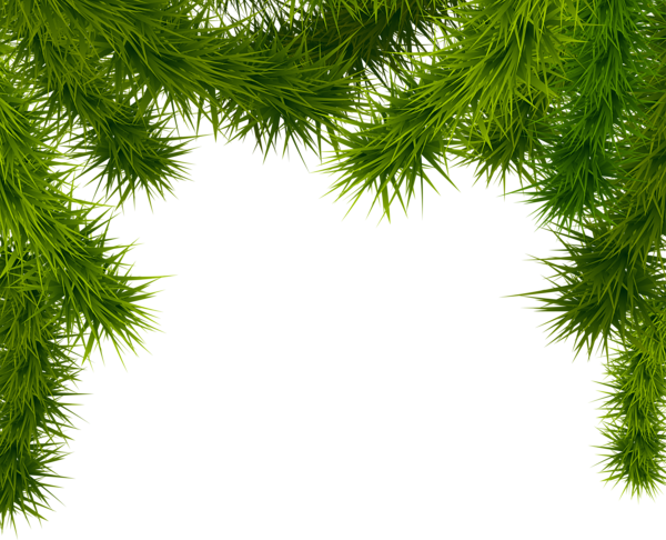 Branches Christmas Free Clipart HQ PNG Image