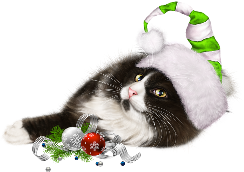 Christmas Kitten HQ Image Free PNG Image