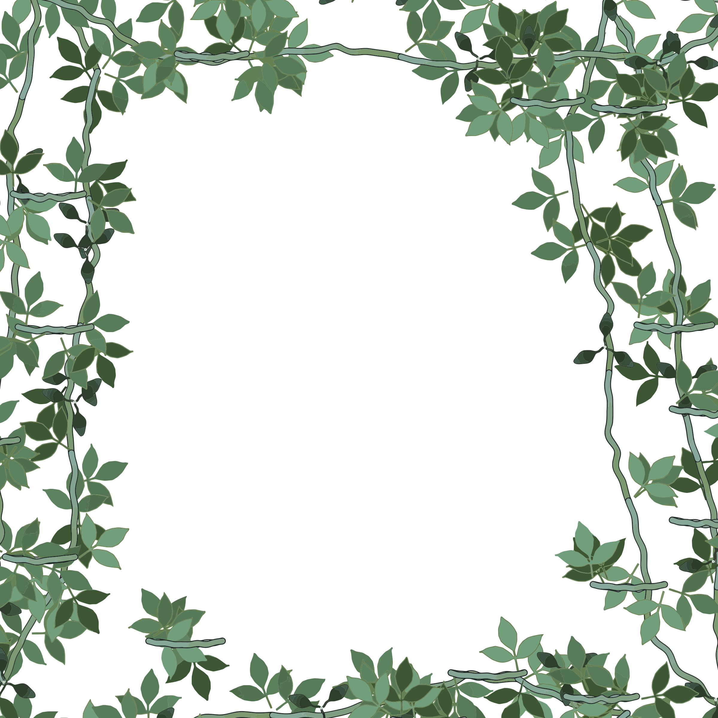Frame Green Christmas PNG Download Free PNG Image