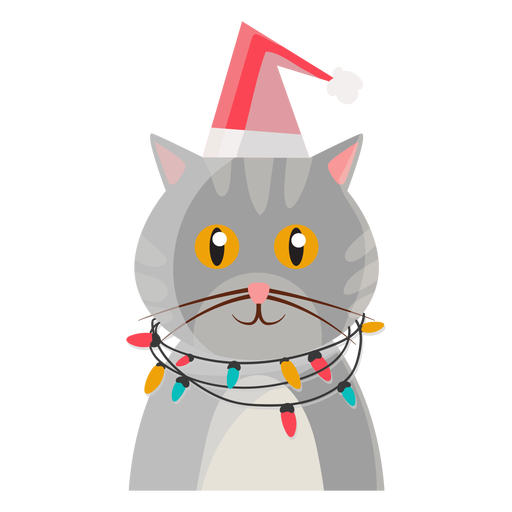 Christmas Cat PNG Image High Quality PNG Image