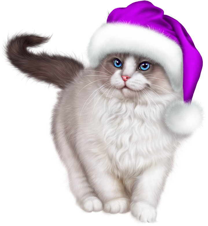 Christmas Cat Free HD Image PNG Image