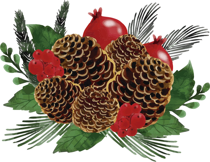 Christmas Pine Cone Download HD PNG Image