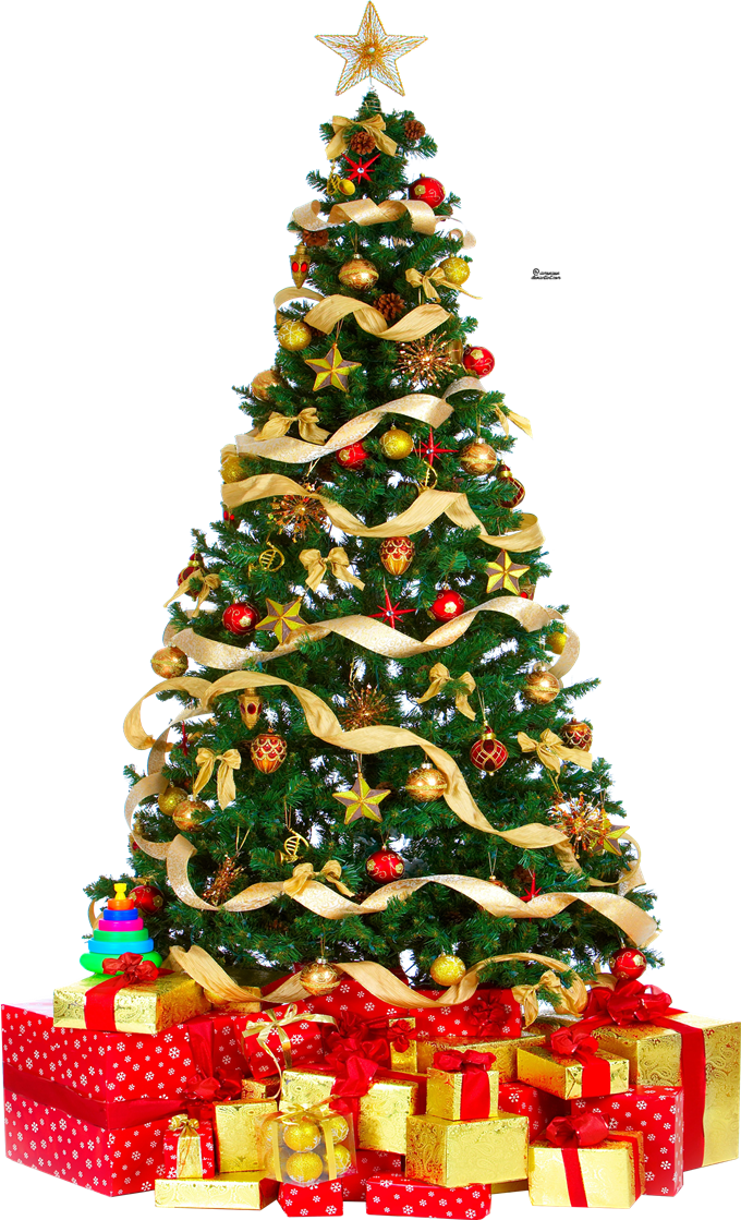 Download Christmas Tree Free Download Hq Png Image Freepngimg