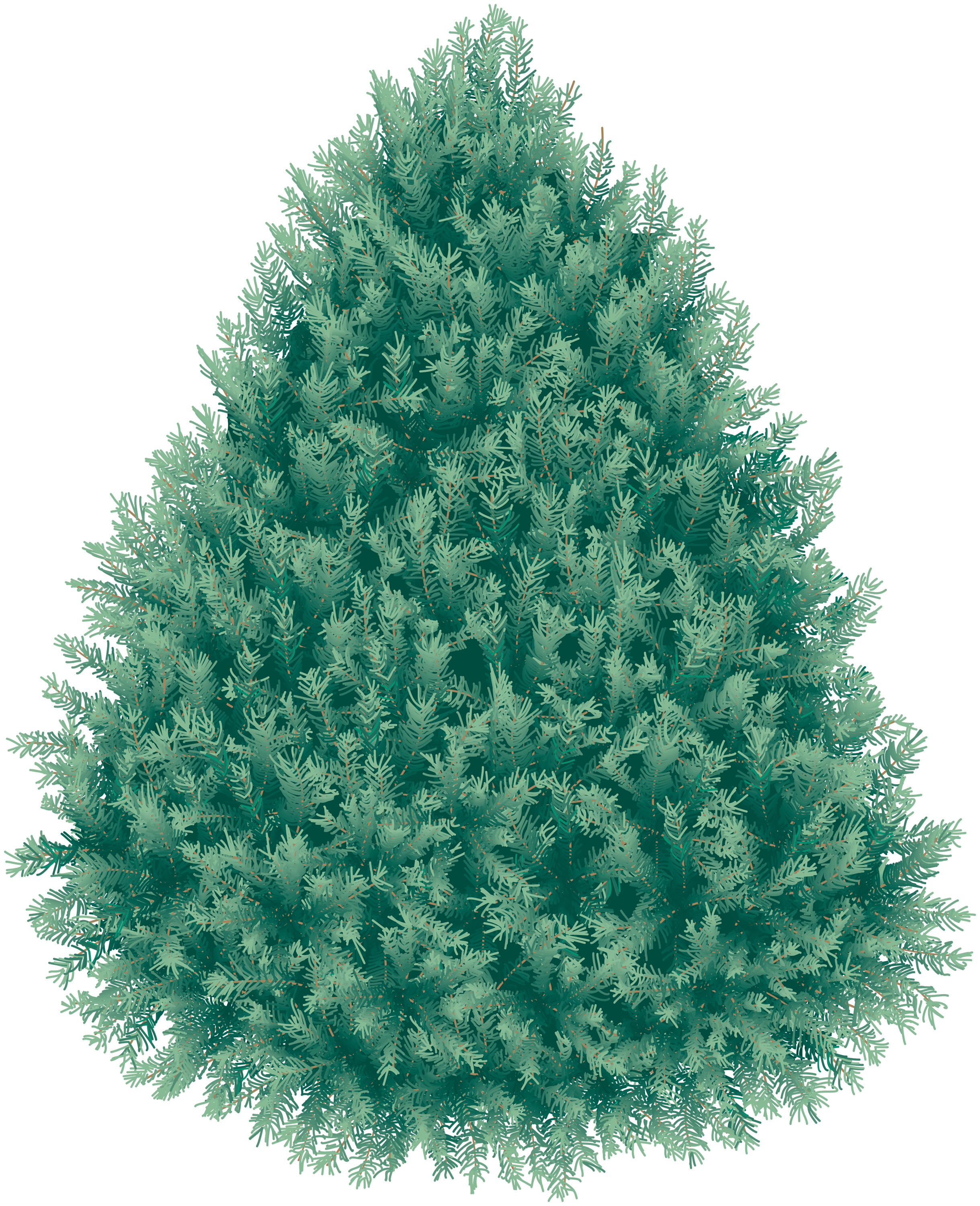Christmas Fir-Tree Png Image PNG Image