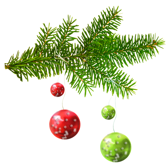 Fir Ornament Tree Day Year Christmas PNG Image