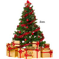 Download Christmas Tree Free Png Photo Images And Clipart Freepngimg