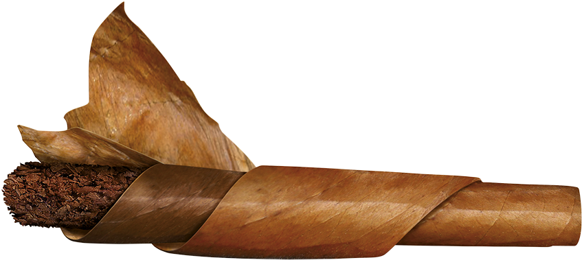 Cigar Transparent PNG Image