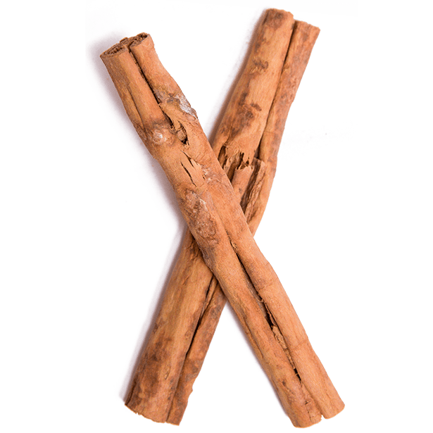 Cinnamon Stick Free Clipart HQ PNG Image