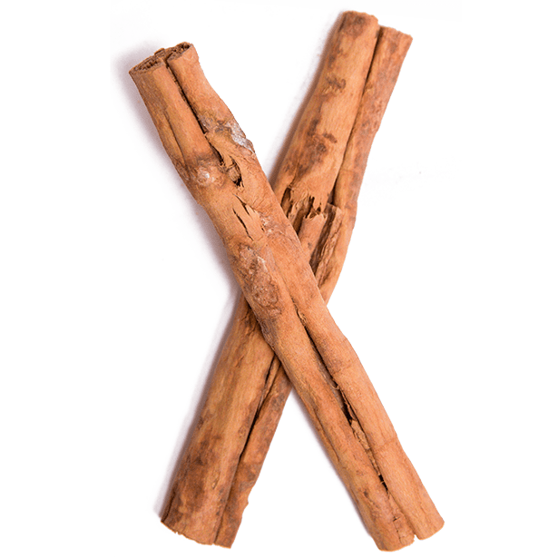 cinnamon sticks clipart