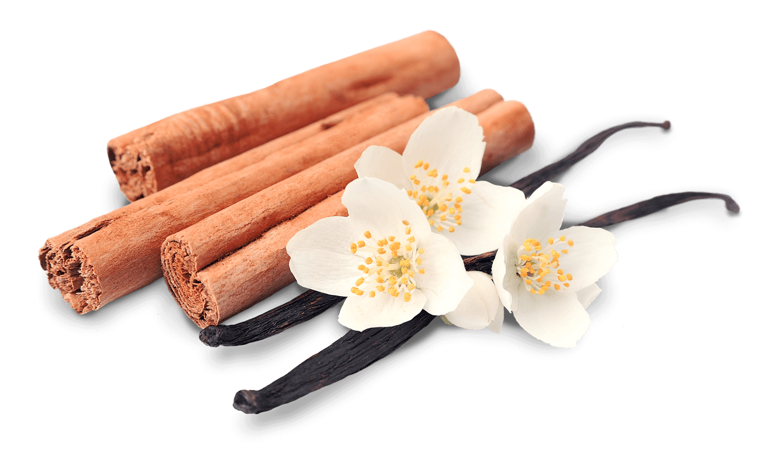 Cinnamon Stick Free Clipart HD PNG Image