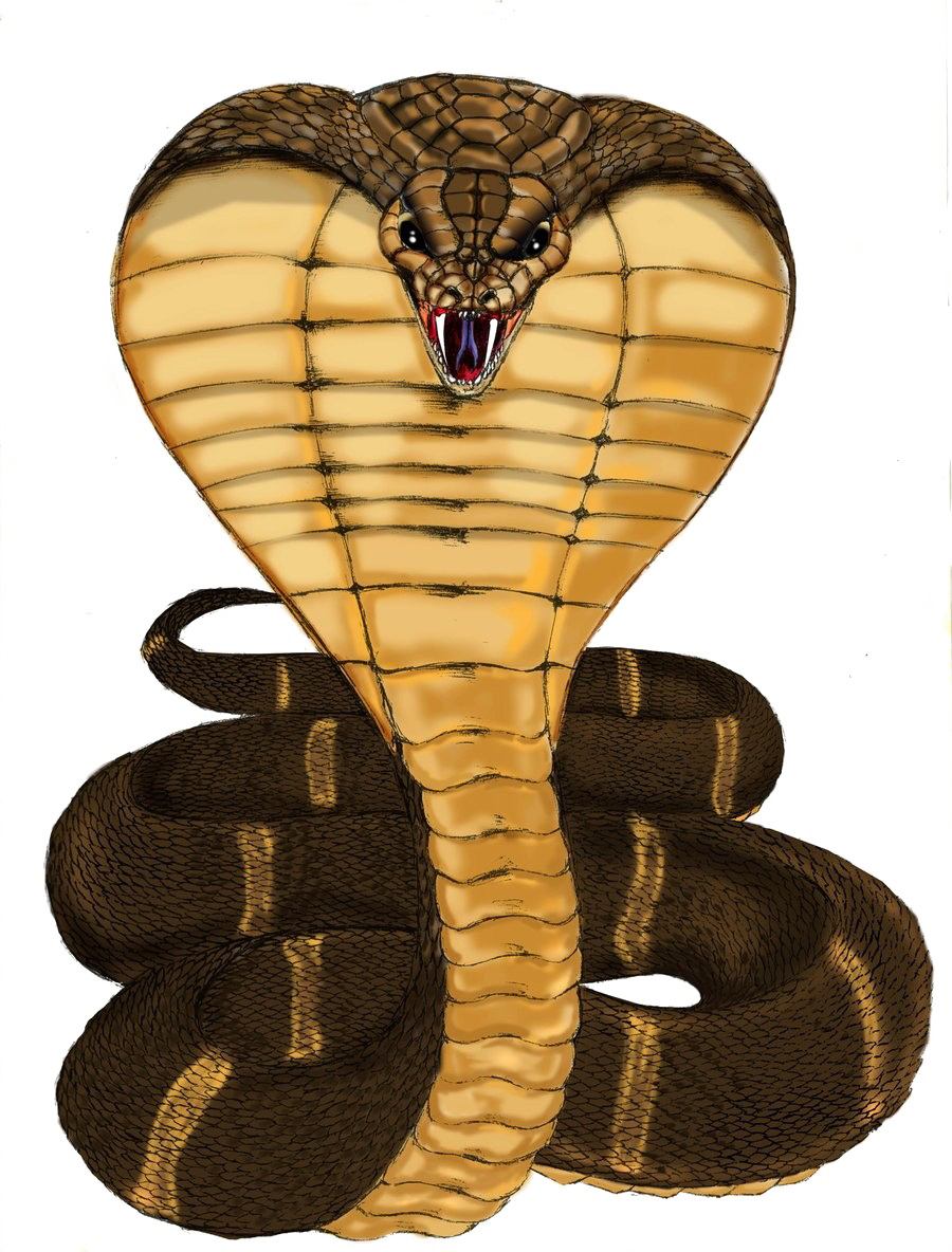 Cobra Transparent PNG Image